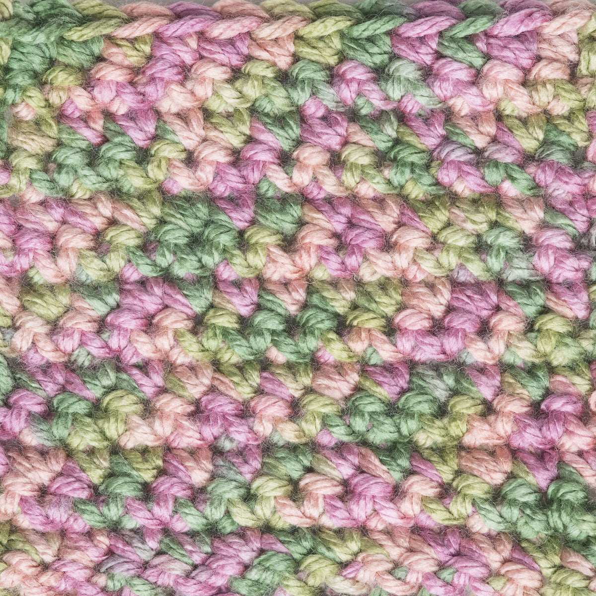 Rose Garden