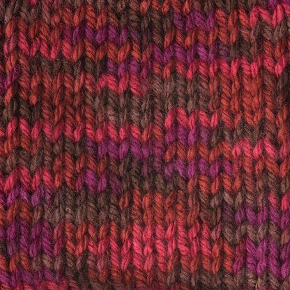 Caron Simply Soft Paints Yarn - Discontinued Shades Sunset