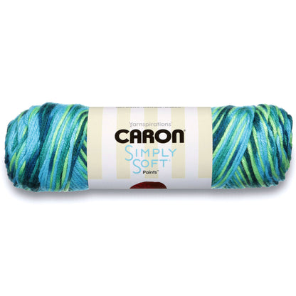 Caron Simply Soft Paints Yarn - Discontinued Shades Peacock Feather