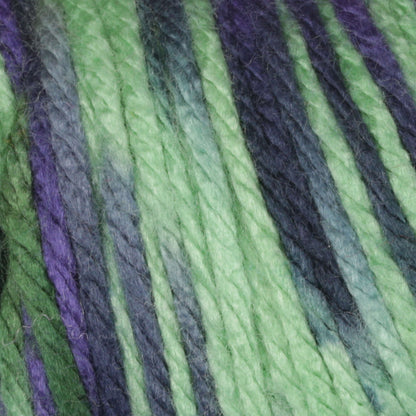 Caron Simply Soft Paints Yarn - Discontinued Shades Passion