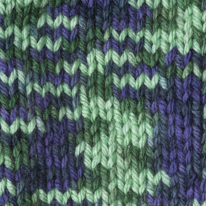 Caron Simply Soft Paints Yarn - Discontinued Shades Passion