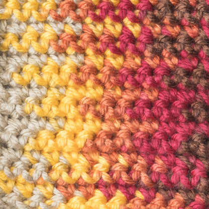 Caron Simply Soft Paints Yarn - Discontinued Shades Sunset Autumn
