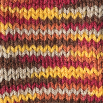 Caron Simply Soft Paints Yarn - Discontinued Shades Sunset Autumn