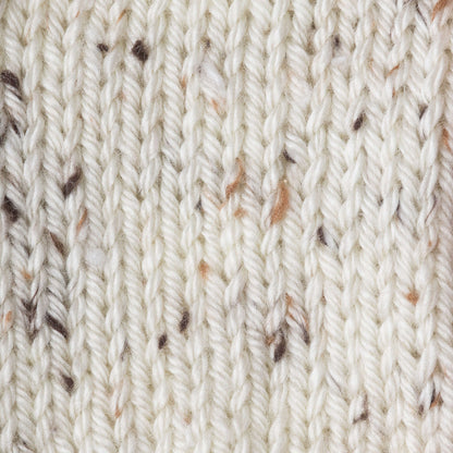 Caron Simply Soft Tweeds Yarn Off White