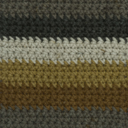 Caron Big Cakes Yarn Tiramisu