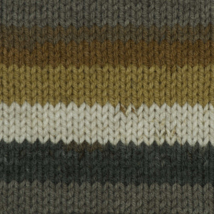 Caron Big Cakes Yarn Tiramisu