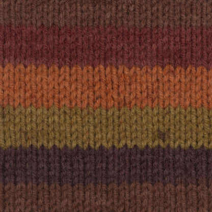 Caron Big Cakes Yarn Cranberry Crisp
