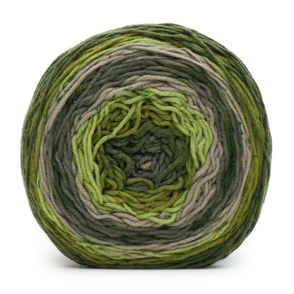 Caron Big Cakes Yarn Mint Fudge