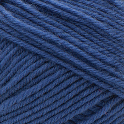 Caron Kindness Yarn - Discontinued Shades Dark Navy