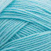 Robin's Egg Blue