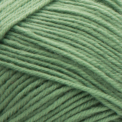 Caron Kindness Yarn - Discontinued Shades Forest