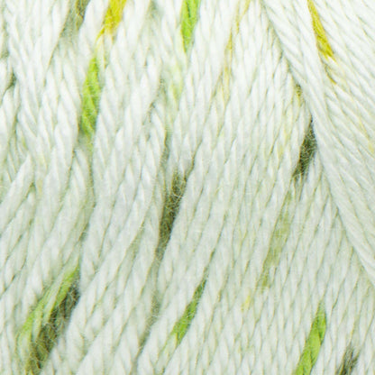 Caron Simply Soft Speckle Yarn - Discontinued Shades Chlorophyll