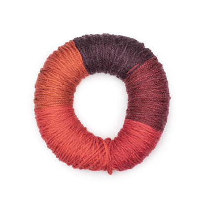 Caron Colorama O'Go Yarn - Discontinued Shades Wine Time