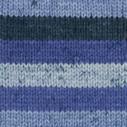 Caron Chunky Cakes Yarn (280g/9.9oz) Blueberry Shortbread