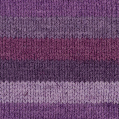 Caron Chunky Cakes Yarn (280g/9.9oz) Elderberry Jelly