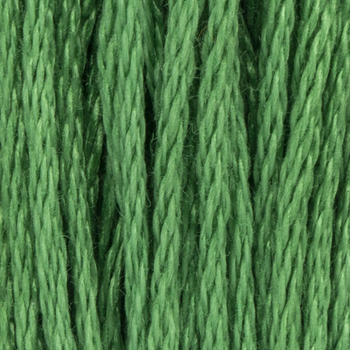 243