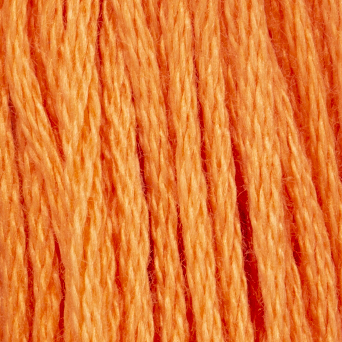 323