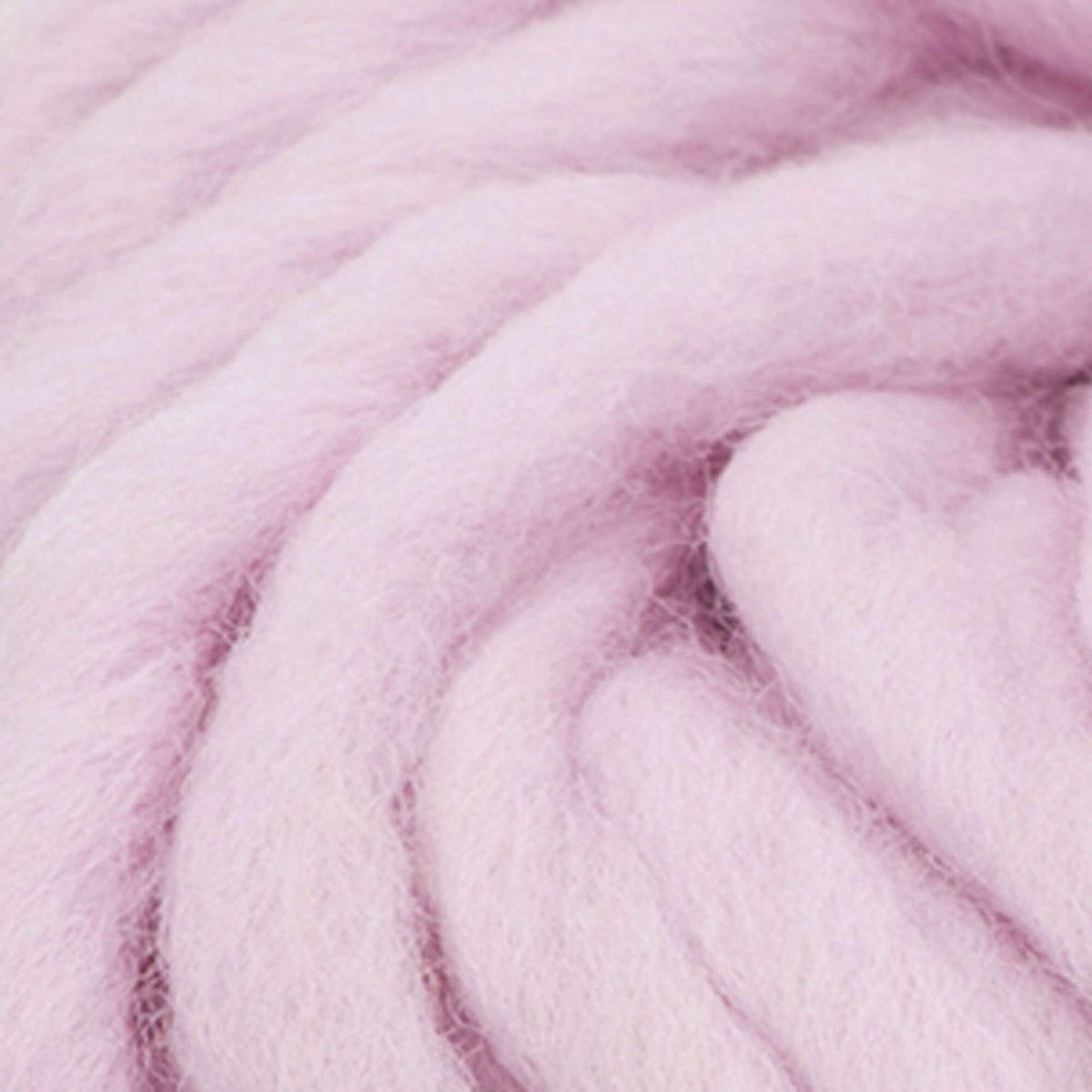 Fire Pink