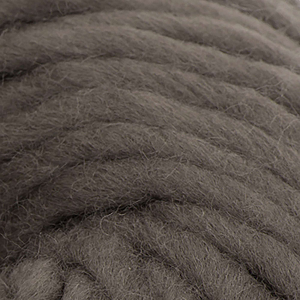 Bison