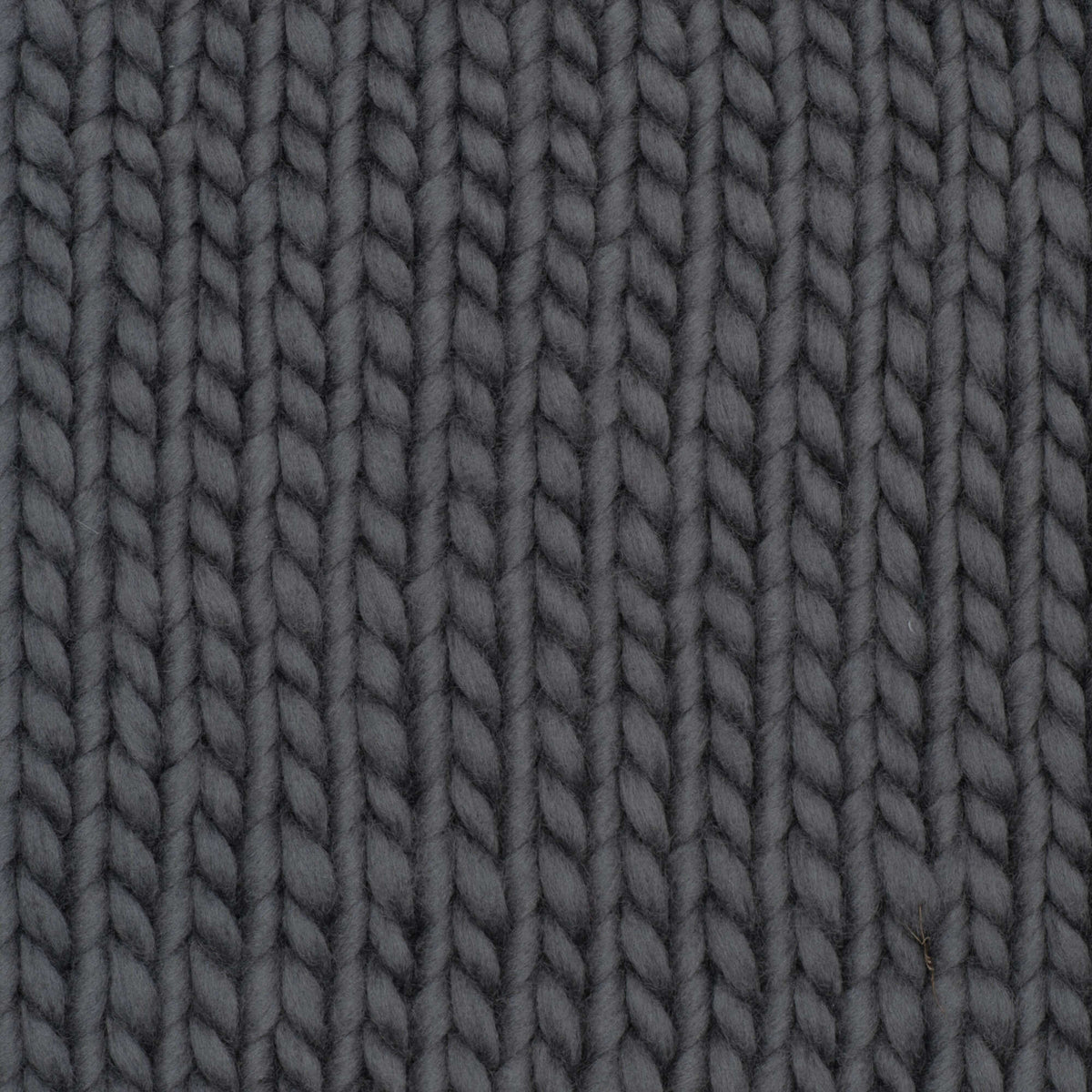 Hudson's Gray