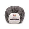 Hudson's Gray
