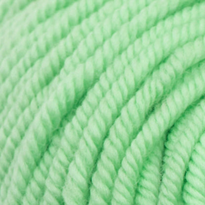 Sugar Bush Crisp Yarn - Discontinued Fundy Fern
