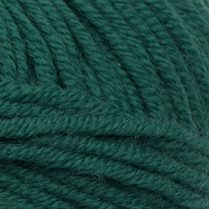 Sugar Bush Bold Yarn - Discontinued Gaspe Green