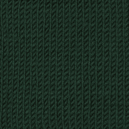 Sugar Bush Bold Yarn - Discontinued Gaspe Green