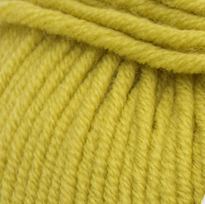 Sugar Bush Bold Yarn - Discontinued Clover