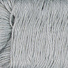 Silver Dollar