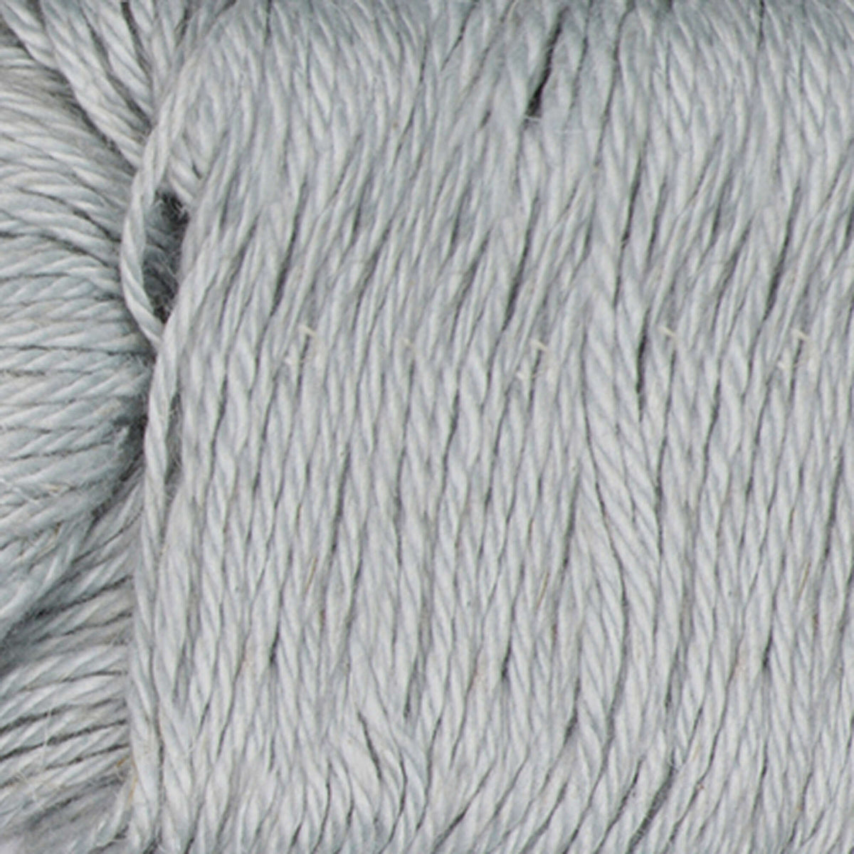 Silver Dollar