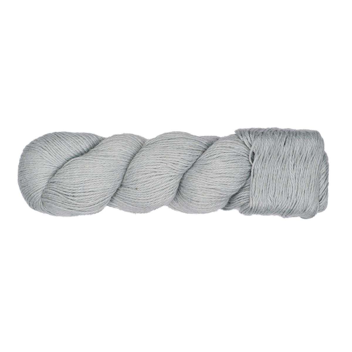 Silver Dollar