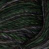 Flecks of Forest