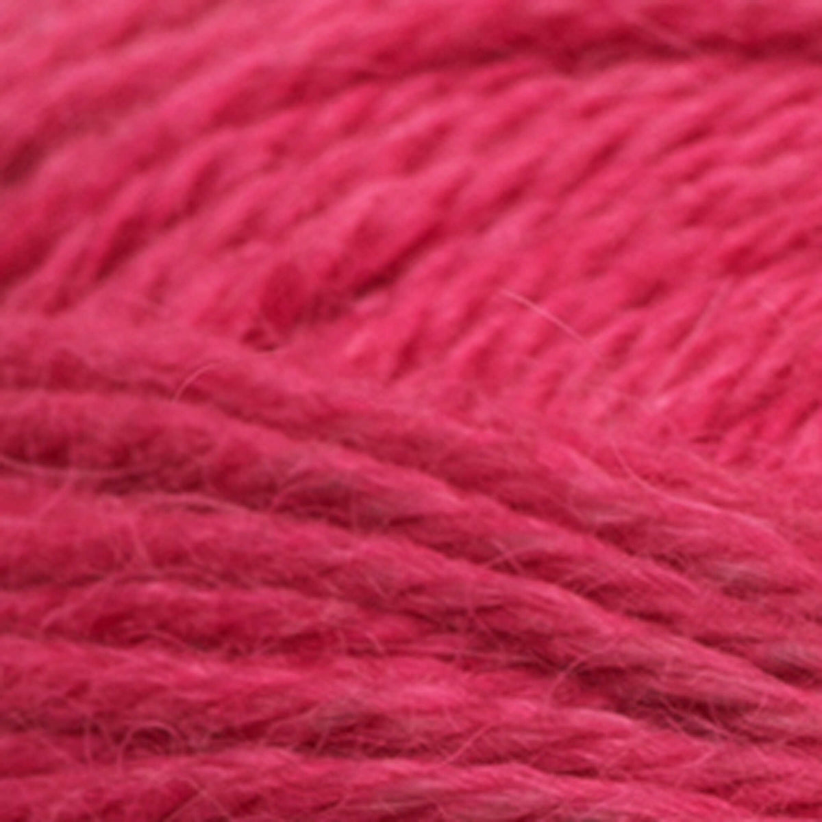 Raspberry