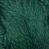 Teal Trails