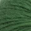 Frozen Fern