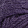 Arctic Purple