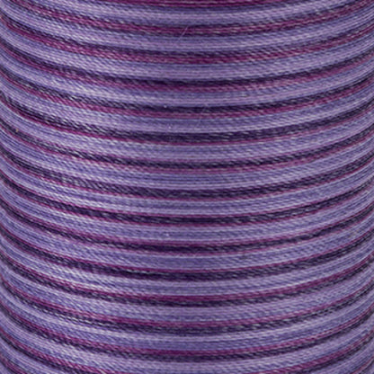 Coats & Clark Dual Duty Plus Hand Quilting Thread (250 Yards) - Discontinued Items Plum Shadows