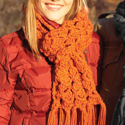 Bernat Easy Crochet Scarf Crochet Scarf made in Bernat Softee Chunky yarn