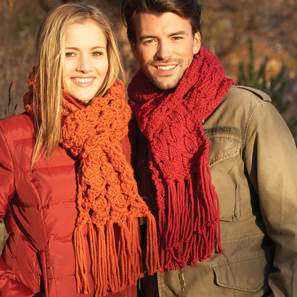 Bernat Easy Crochet Scarf Crochet Scarf made in Bernat Softee Chunky yarn