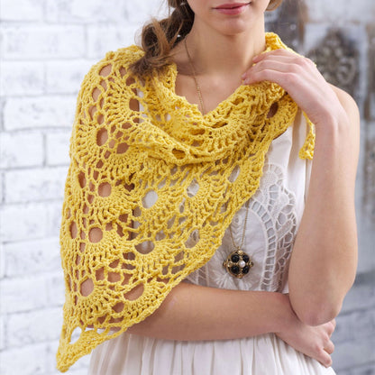 Bernat Yes Yes Shawl Crochet Single Size