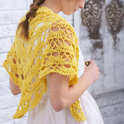 Bernat Yes Yes Shawl Crochet Single Size