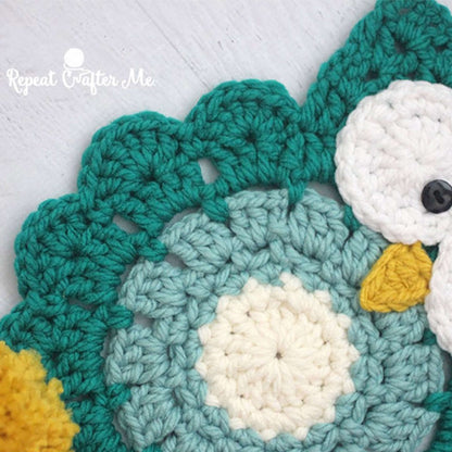 Bernat Owl Crochet Super Scarf Crochet Scarf made in Bernat Softee Chunky yarn