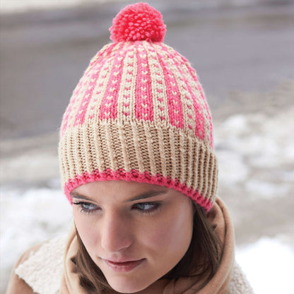 Bernat Knit Winter Weekend Hat Knit Hat made in Bernat Super Value yarn