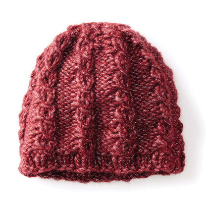 Bernat Shining Swirls Knit Hat Knit Hat made in Bernat Dazzle yarn