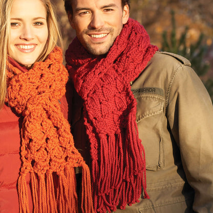 Bernat Easy Knit Scarf Knit Scarf made in Bernat Softee Chunky yarn