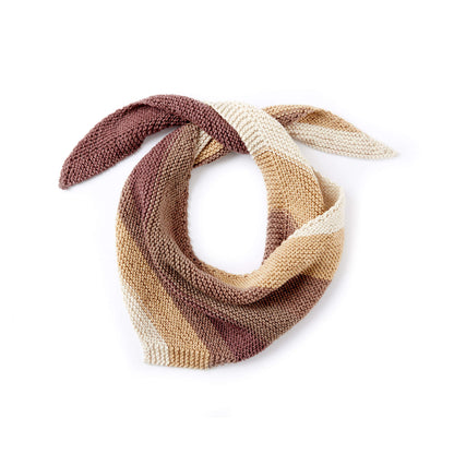 Bernat Shifting Stripes Knit Scarf Knit Scarf made in Bernat Super Value yarn