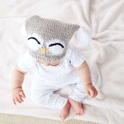 Bernat I'm a Hoot! Knit Hat 6-12 mos