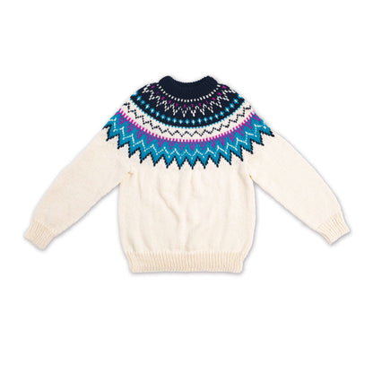 Bernat Family Knit Adult Yoke Sweater Version 1