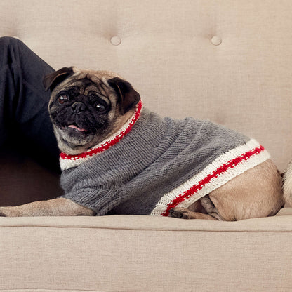 Bernat Knit Work Sock Dog Coat S
